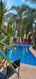 a swimming pool with palm trees and a chair at Costas del Paraiso in Colón