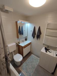 a bathroom with a toilet and a sink and a mirror at MoonZE apartman, free parking in Novi Grad