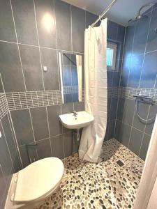 ein Bad mit einem Waschbecken, einem WC und einer Dusche in der Unterkunft Maison Jardin&Terrasse 15min de Paris in Houilles