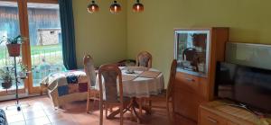 Μια τηλεόραση ή/και κέντρο ψυχαγωγίας στο Room in Charmant apartment Wangs