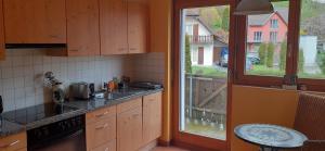 d'une cuisine avec évier et d'une fenêtre avec vue. dans l'établissement Room in Charmant apartment Wangs, à Wangs