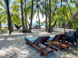two chairs and hammocks on a beach with palm trees at Fenix Hotel - On the Beach in Sámara