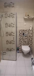 a bathroom with a shower and a toilet at Apartament morski Aquasfera in Reda +10 photos