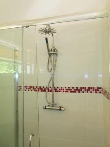 a shower in a bathroom with a glass shower stall at VJ's Guesthouse Mountain View in Café