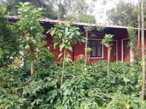 Gallery image of Athena Homestay in Somvārpet