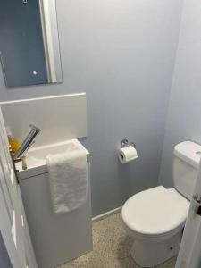 a bathroom with a white toilet and a sink at Manorcombe 19 in Gunnislake