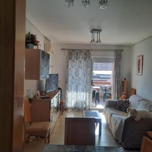 ein Wohnzimmer mit einem Hund auf einer Couch in der Unterkunft Apartamento Magic World Oropesa in Oropesa del Mar
