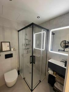 een badkamer met een douche, een toilet en een wastafel bij Apartamento Alejandro en BCN in Barcelona