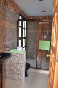 a bathroom with a toilet and a glass shower at Rancho Grande in Silvania