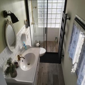 a bathroom with a sink and a mirror and a shower at Spacieux duplex en plein centre-ville de Fontainebleau in Fontainebleau