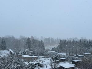 Alter Speicher في Schönberg: قرية مغطاة بالثلج فيها بيوت واشجار