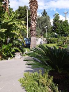 Zahrada ubytování Villa Elena