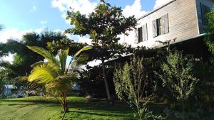 a house with a palm tree in the yard at Couleur créole in Lamentin