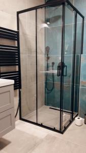 a shower with a glass door in a bathroom at Veselé Apartmány Lipno in Lipno nad Vltavou
