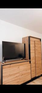 a large entertainment center with a television on top of it at Veselé Apartmány Lipno in Lipno nad Vltavou