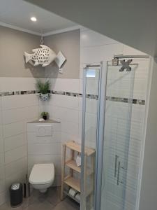 a bathroom with a glass shower and a toilet at Küstenblick Marienleuchte in Fehmarn +17 photos