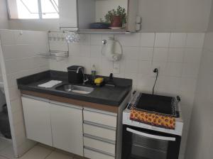eine kleine Küche mit einer Spüle und einem Herd in der Unterkunft Apartamento inteiro no Alto Umuarama, próximo ao Aeroporto, Medicina e Granja Marileusa. in Uberlândia