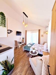 Apartament typu studio z salonem i jadalnią w obiekcie Sunny Side Apartments w mieście Rijeka Crnojevića