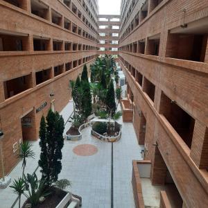 een appartementencomplex met een binnenplaats met bomen en planten bij Apartamento Marina D'Or in Oropesa del Mar