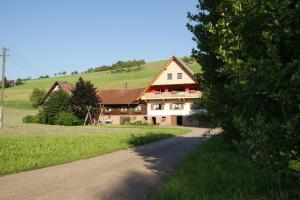 a large house on a hill with a road at Kornbauernhof in Oberharmersbach
