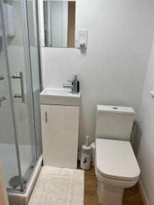 a bathroom with a toilet and a sink and a shower at Novanik Studio Apartment in Milton Keynes +7 photos