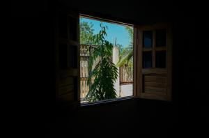 圣安特罗Cabañas en San Antero Bambumar2的相册照片