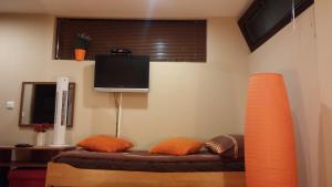 TV o dispositivi per l'intrattenimento presso B&B Bazeni