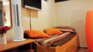TV o dispositivi per l'intrattenimento presso B&B Bazeni