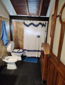 a bathroom with a toilet and a shower at Tres Coronas in San Martín de los Andes