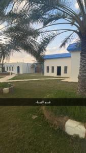 a palm tree in front of a white building at منتجع السرايا السياحي in Al Qā‘id