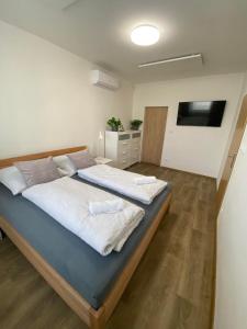 1 dormitorio con 1 cama grande en una habitación en Apartmány Mikulčice, en Mikulčice