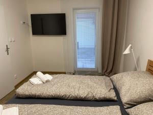 Łóżko lub łóżka w pokoju w obiekcie Apartmány Mikulčice