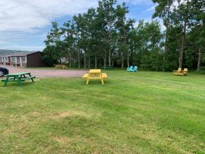 a picnic table and benches in a park at Legges Motel & Restaurant in Heartʼs Content