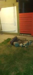 a group of stuffed animals laying on the grass at Wasi in La Falda