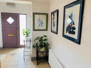 Fotografie z fotogalerie ubytování Mountain View House v destinaci Killarney