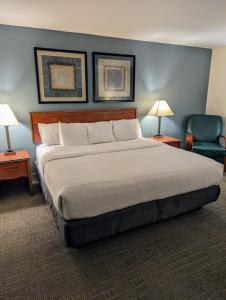 1 dormitorio con 1 cama grande y pared azul en La Quinta Inn by Wyndham Chicago Willowbrook, en Willowbrook