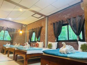 una habitación con 4 camas con animales de peluche en Khaosok Monkeys & River Camps, en Khao Sok