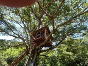 Imagen de la galería de Casa na Árvore sítio Iananda, en Sapucaí-Mirim