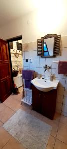 ein Bad mit einem Waschbecken und einem Spiegel in der Unterkunft Ubytovani Eden in Dlouhá Ves