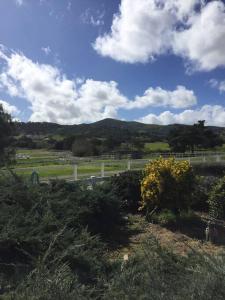 uma vista para um campo com uma cerca e árvores em Rock 12 Ranch em Buellton