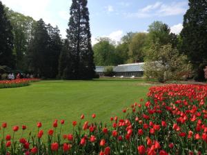 Zahrada ubytování Hotel Wieting