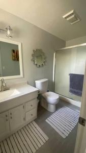 bagno con servizi igienici, lavandino e specchio di Dream Catcher Getaway a Clearlake Oaks
