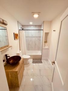 波士頓的住宿－Perrin Place Unit 3，一间带水槽、卫生间和淋浴的浴室