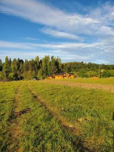 ein Grasfeld mit einem Haus im Hintergrund in der Unterkunft Cómodas y acogedoras cabañas in Huépil