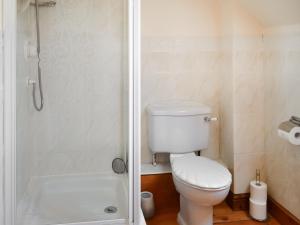 a small bathroom with a toilet and a shower at Daisy Cottage - Uk46262 in Tetney