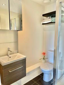 a bathroom with a toilet and a sink at Two bedroom flat with a sofa bed living room in London