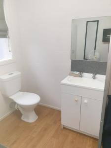 a white bathroom with a toilet and a sink at Backpackers Central Hamilton in Hamilton
