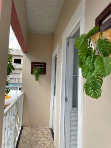 einen Balkon mit Tür und Pflanze in der Unterkunft Apartamento mobiliado em Barreirinhas MA in Barreirinhas