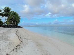 una playa de arena con palmeras y el océano en Senny's Treelodge Hotel, 