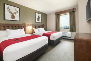 um quarto de hotel com duas camas e uma janela em Great Wolf Lodge Mason em Mason